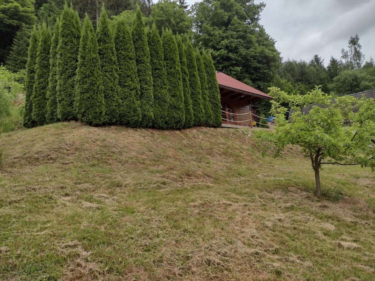Chata Dvirka Zelezny Brod Exterior photo