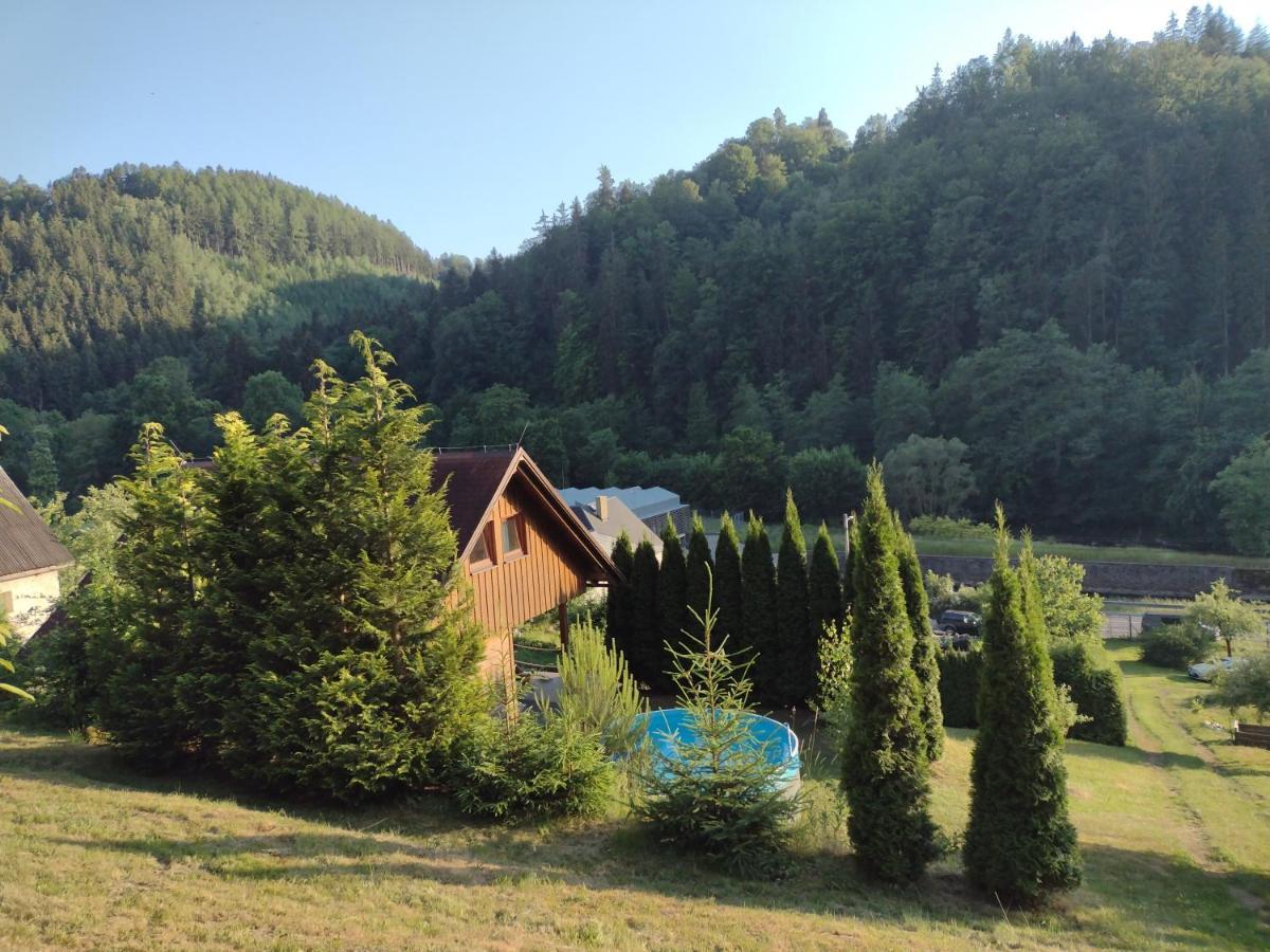 Chata Dvirka Zelezny Brod Exterior photo